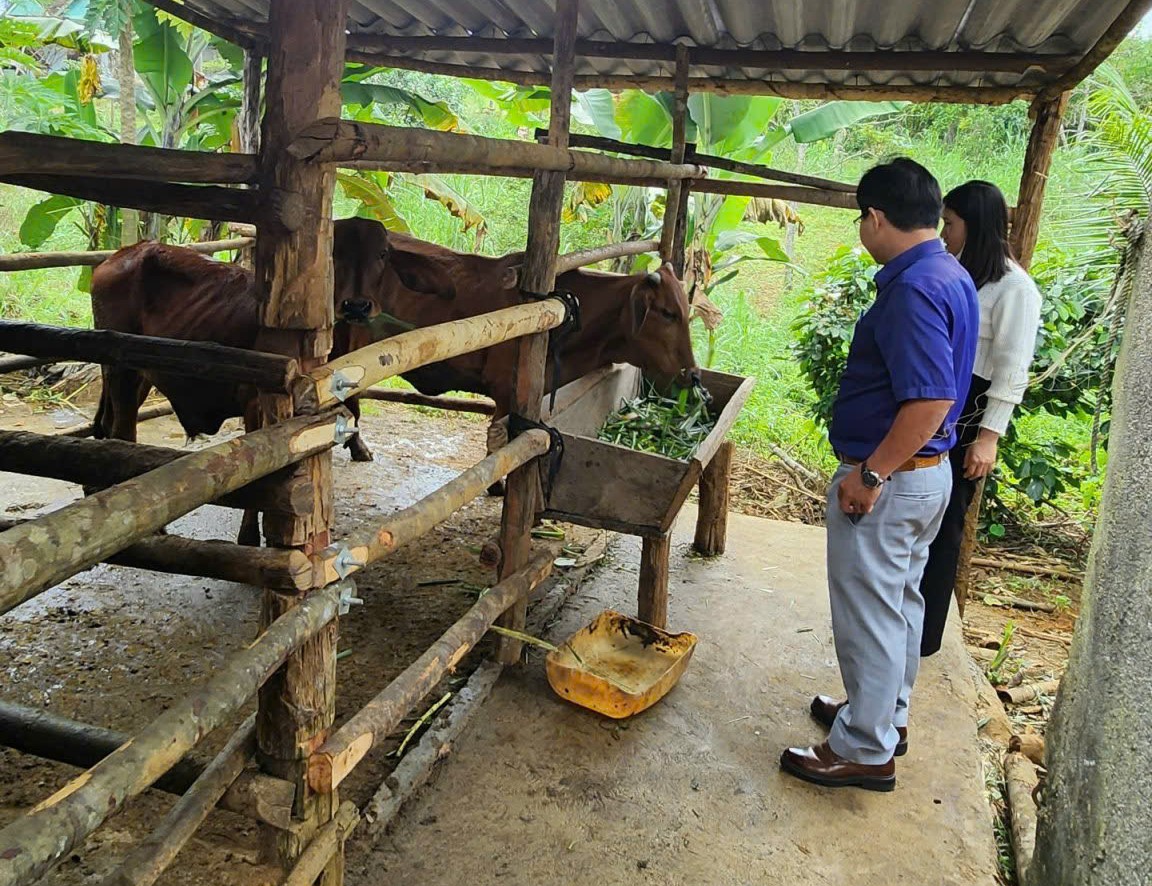 z7406968263830-ea9ef7dd5abf5a1f6d50b89a0a425eb5