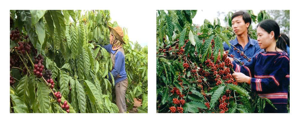 z7678873171477-c582d9b6d920aa24f873b86a2f1e9dc5