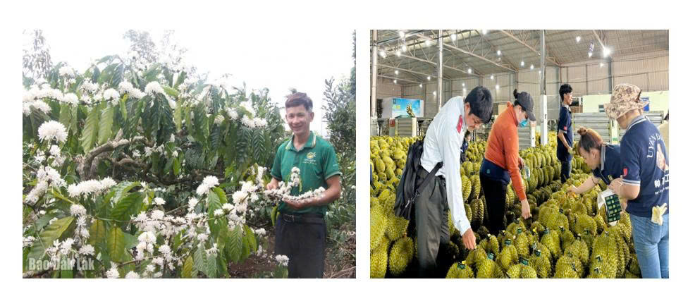 z7678878613807-8169e75bec9e7cfff66e2a95f14ed4aa