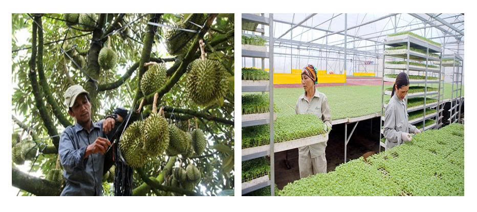 z7678881732039-331290e8d09f82d7270134affea305c6