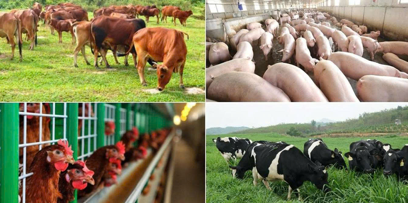 z7684142918293-e6dc43b31af37d18ca49002134417a73