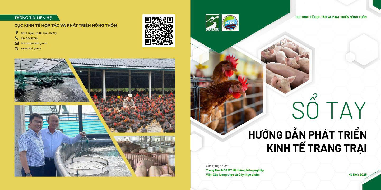 z7684147045111-6cdbd13a8215fa09cc7058c105e9f6a5